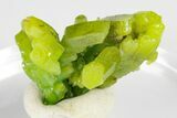 Apple-Green Pyromorphite Crystal Cluster - China #184656-2